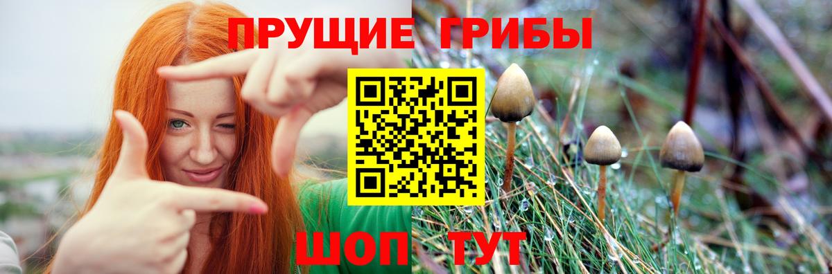Галлюциногенные грибы Magic Shrooms Удомля